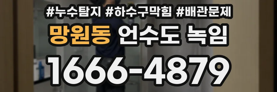 망원동 언수도 녹임