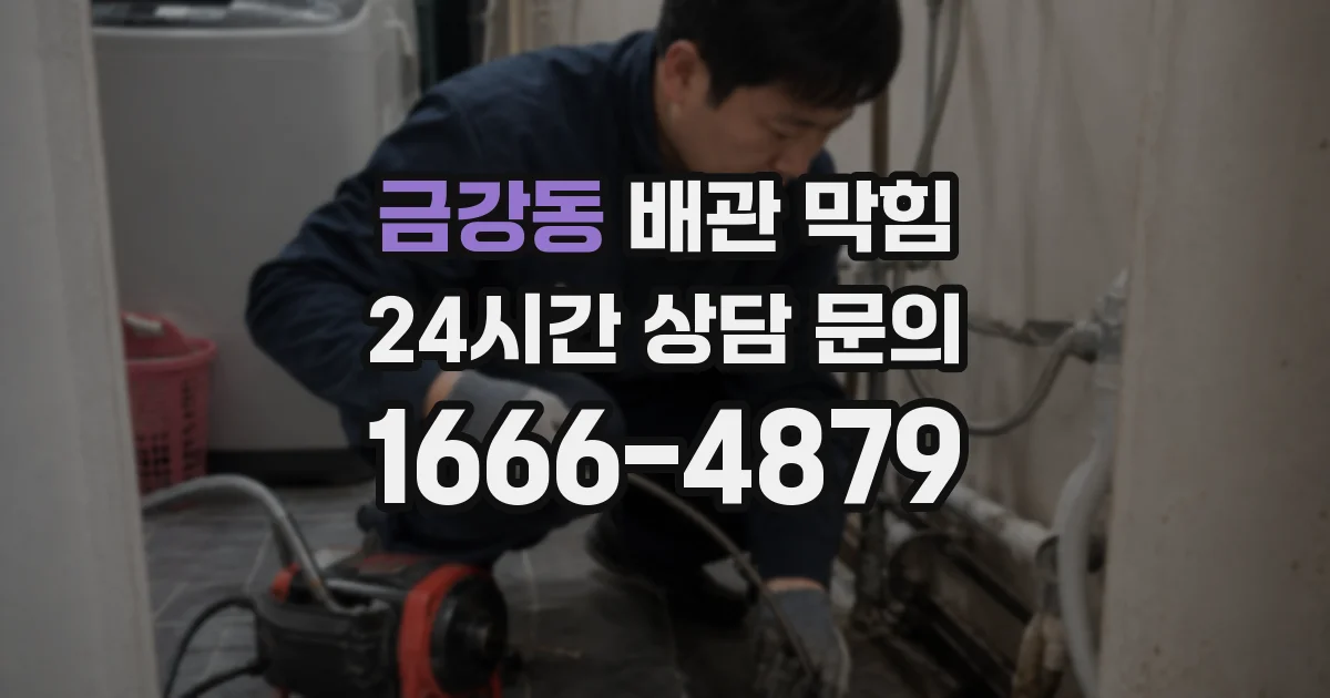 금강동 배관 막힘
