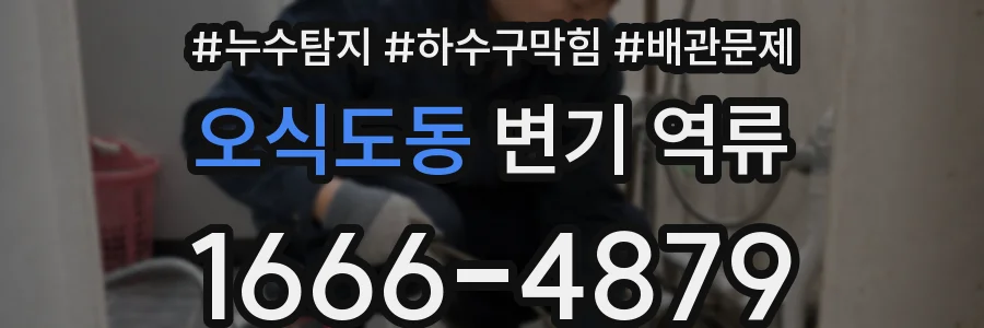 오식도동 변기 역류