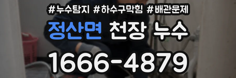 정산면 천장 누수