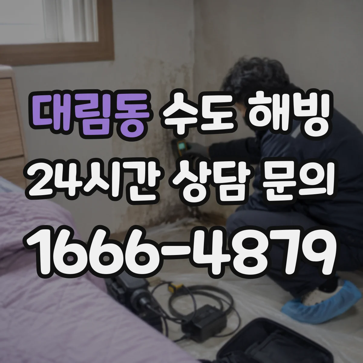 대림동 수도 해빙