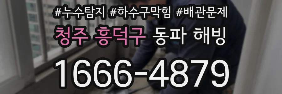 청주 흥덕구 동파 해빙