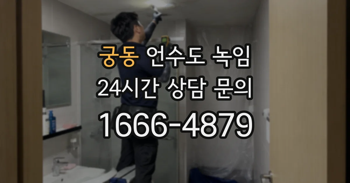 궁동 언수도 녹임
