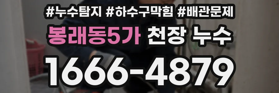 봉래동5가 천장 누수