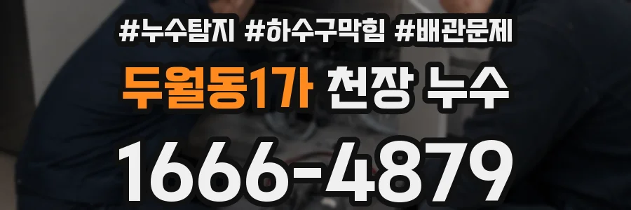 두월동1가 천장 누수