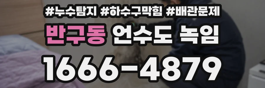 반구동 언수도 녹임