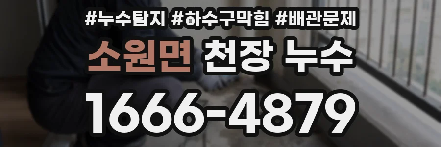 소원면 천장 누수
