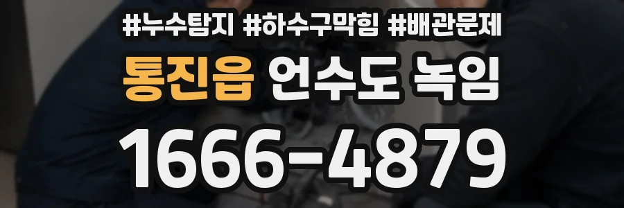 통진읍 언수도 녹임