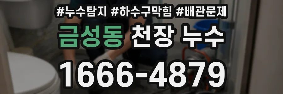 금성동 천장 누수