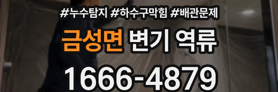 금성면 변기 역류