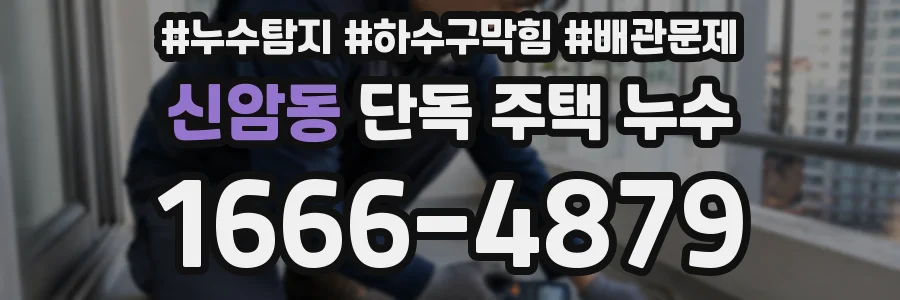 신암동 단독 주택 누수