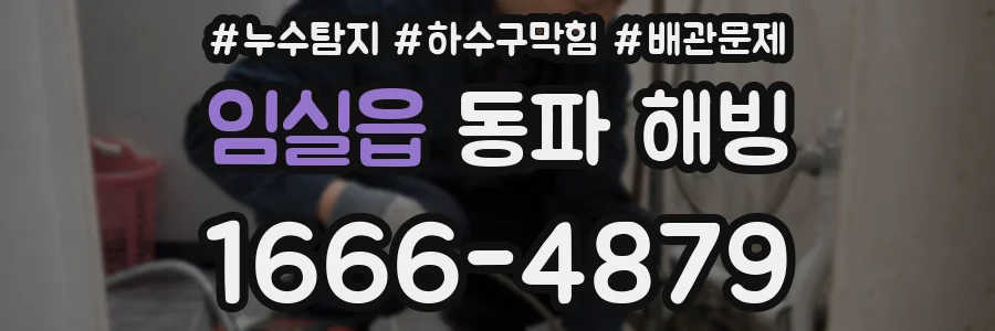 임실읍 동파 해빙