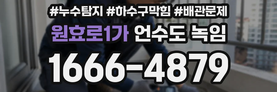 원효로1가 언수도 녹임