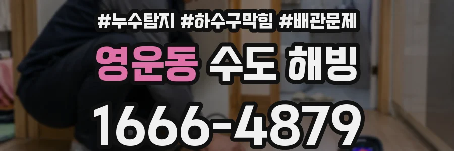 영운동 수도 해빙