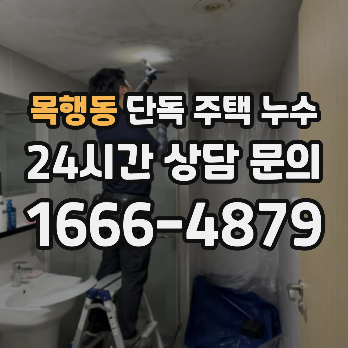 목행동 단독 주택 누수