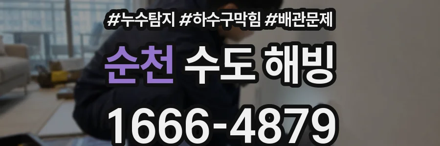 순천 수도 해빙