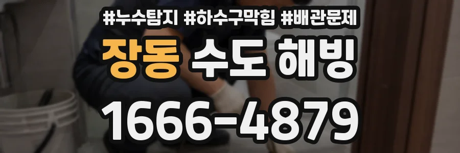 장동 수도 해빙