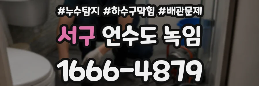 서구 언수도 녹임