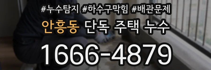 안흥동 단독 주택 누수