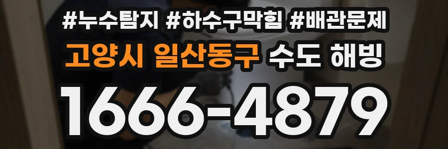 고양시 일산동구 수도 해빙
