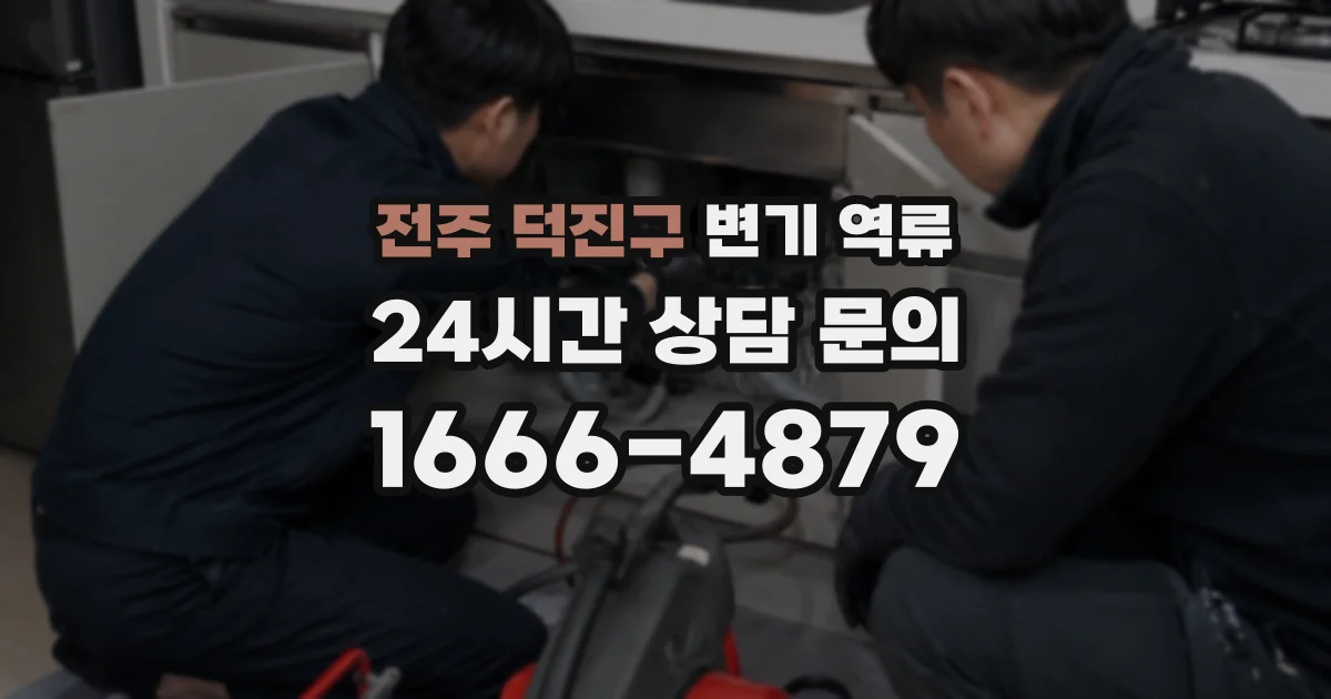 전주 덕진구 변기 역류