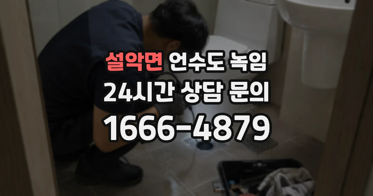 설악면 언수도 녹임