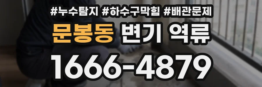 문봉동 변기 역류