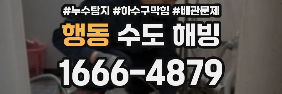 행동 수도 해빙