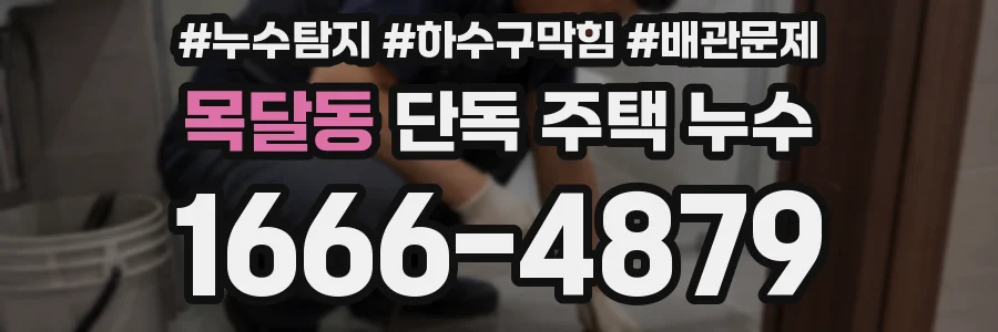 목달동 단독 주택 누수