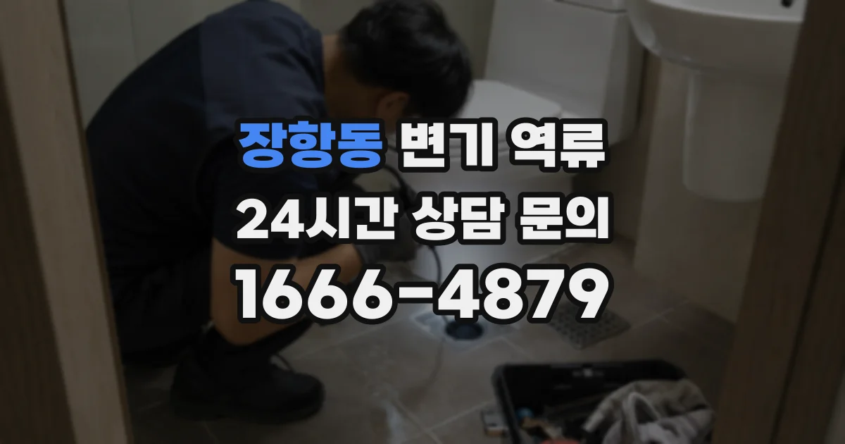 장항동 변기 역류