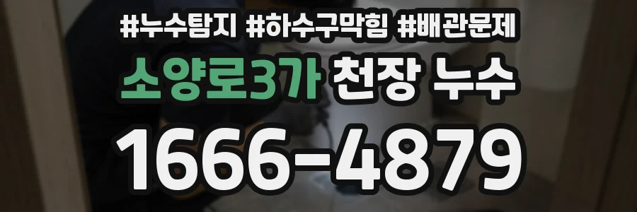소양로3가 천장 누수
