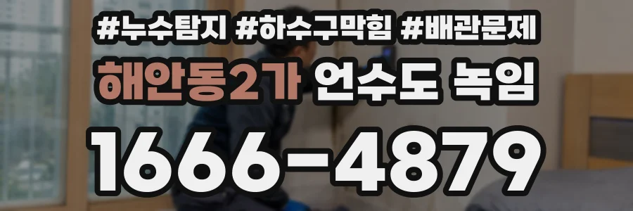 해안동2가 언수도 녹임