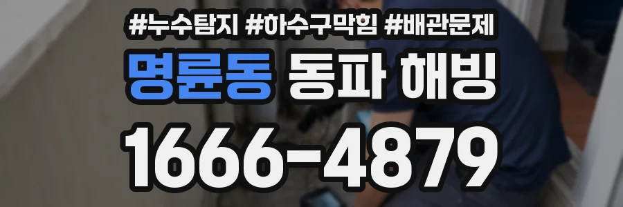 명륜동 동파 해빙