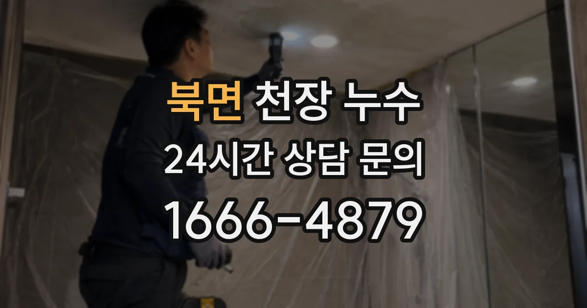 북면 천장 누수