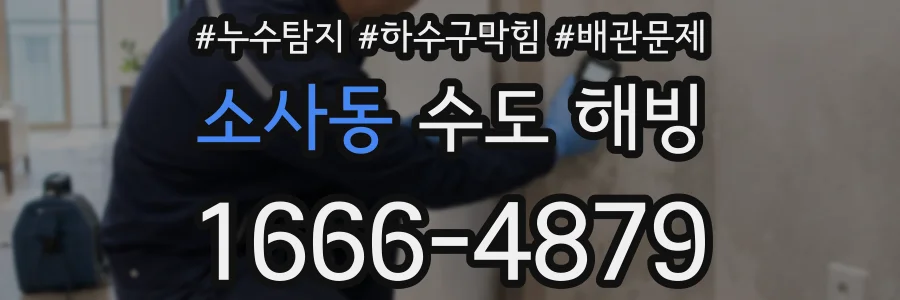 소사동 수도 해빙
