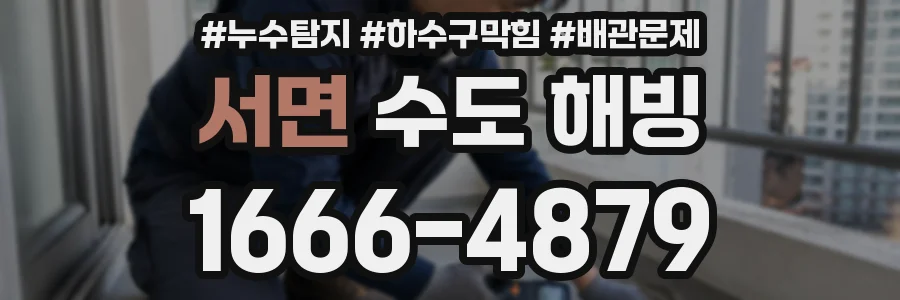 서면 수도 해빙