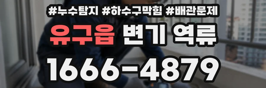 유구읍 변기 역류
