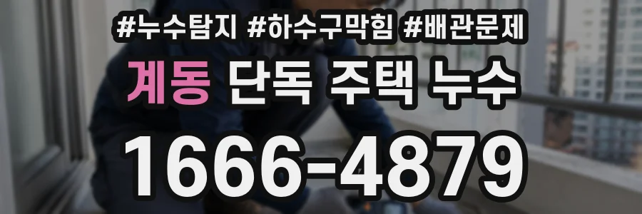계동 단독 주택 누수