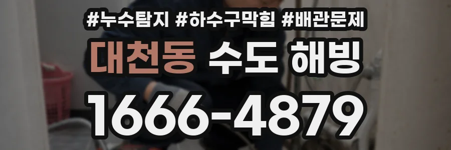 대천동 수도 해빙