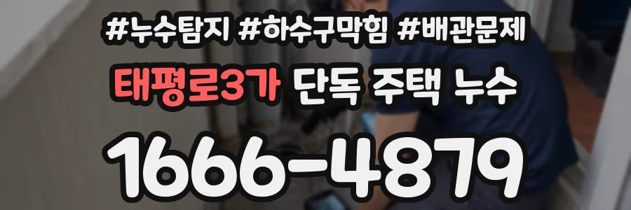 태평로3가 단독 주택 누수