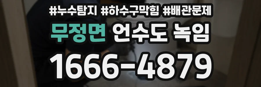 무정면 언수도 녹임