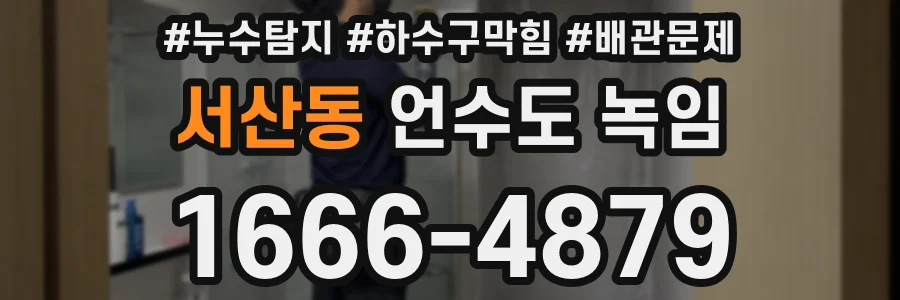 서산동 언수도 녹임