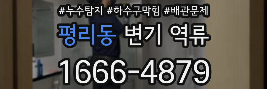 평리동 변기 역류