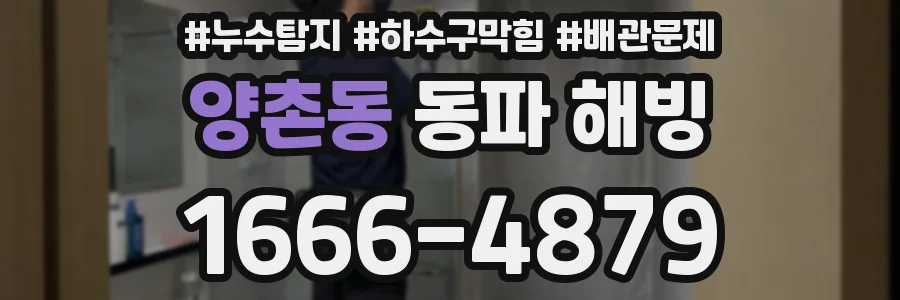 양촌동 동파 해빙