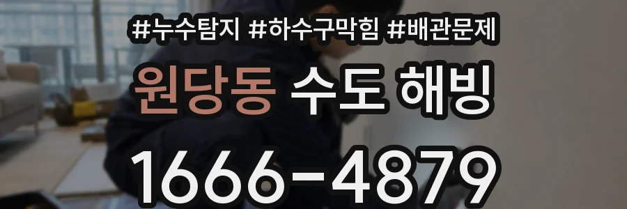 원당동 수도 해빙