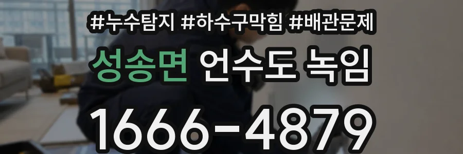 성송면 언수도 녹임