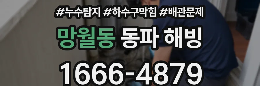 망월동 동파 해빙