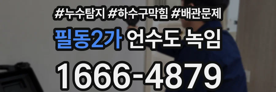 필동2가 언수도 녹임