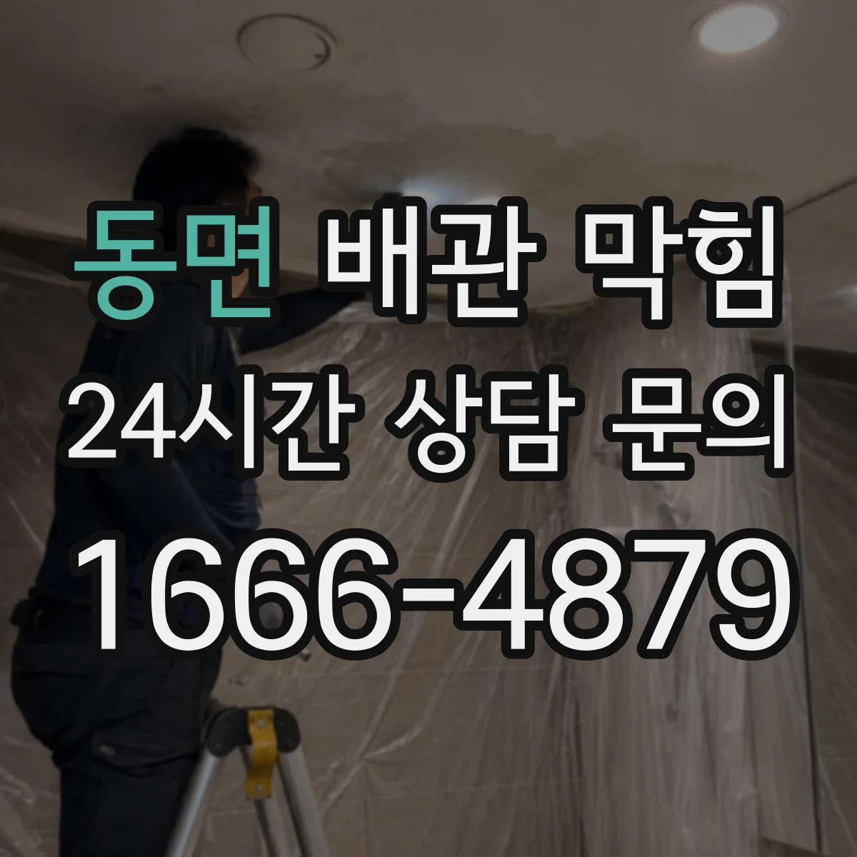 동면 배관 막힘