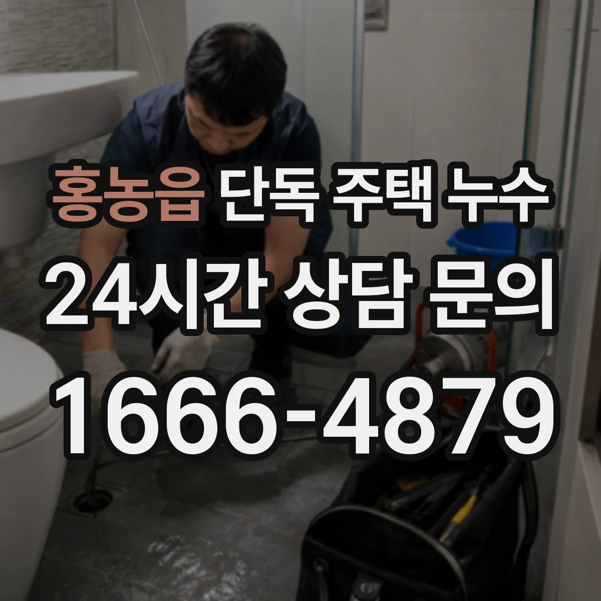홍농읍 단독 주택 누수